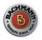 Bachmann HO Track