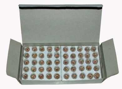 12 volt bayonet base light bulb 50-pack