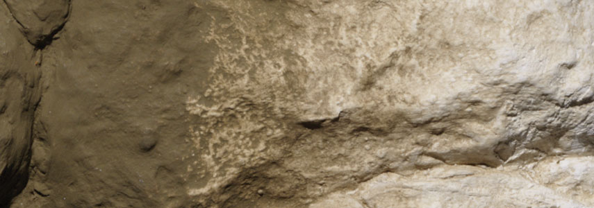 Earth Colors Liquid Pigment Earth Undercoat