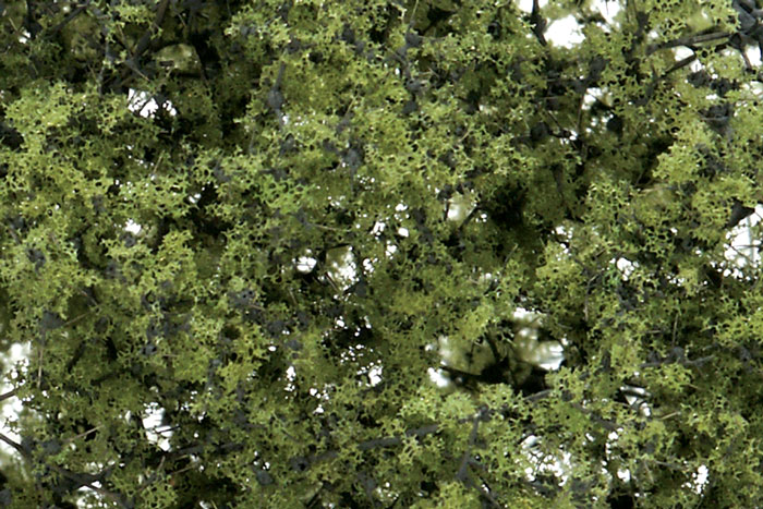 Fine Leaf Foliage Light Green