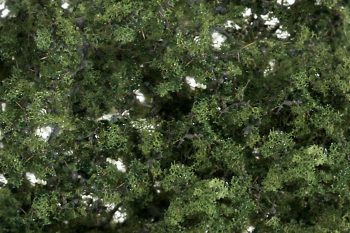 Fine Leaf Foliage Medium Green