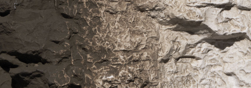 Earth Colors Liquid Pigment Raw Umber