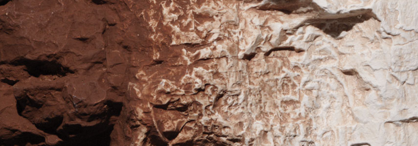 Earth Colors Liquid Pigment Burnt Umber