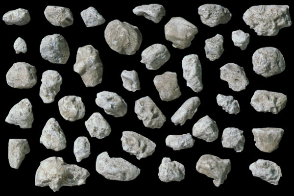 Rock Mold Boulders