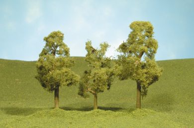 8" sycamore trees 2-pack