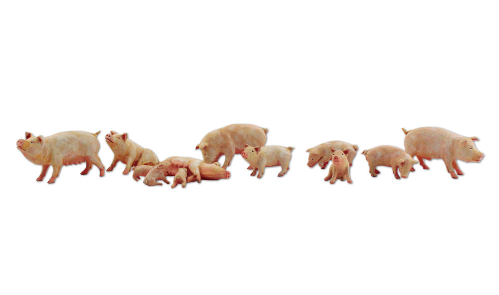 Yorkshire Pigs figures
