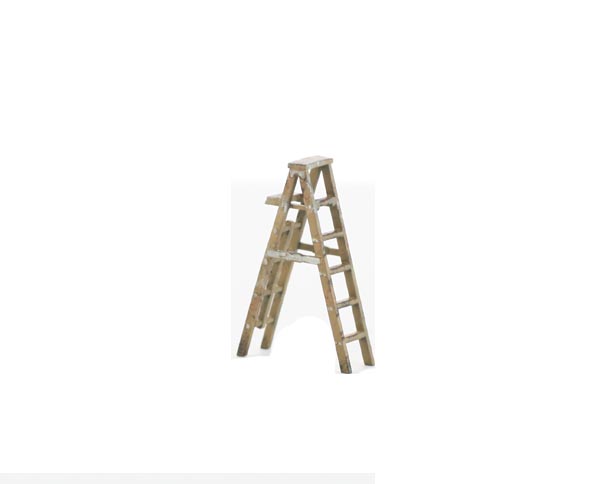 Step Ladder