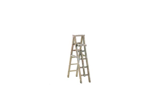 Step Ladder