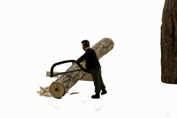 Logger Bucker #1 Cutting with Bow Saw