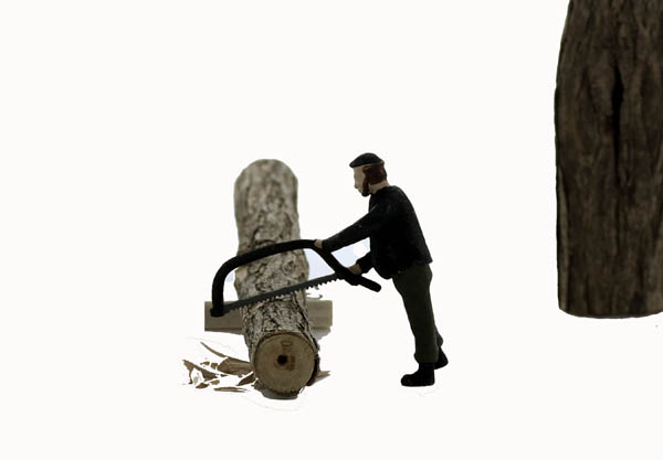 Logger Bucker #1 Cutting with Bow Saw