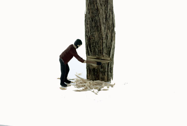 Logging Feller #2 cutting down a tree