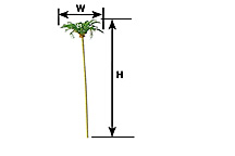 9-1/2" Palm Tree