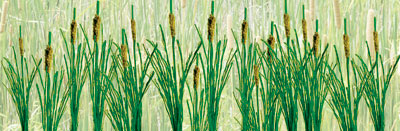 Cattails 1.5" tall 24-pack