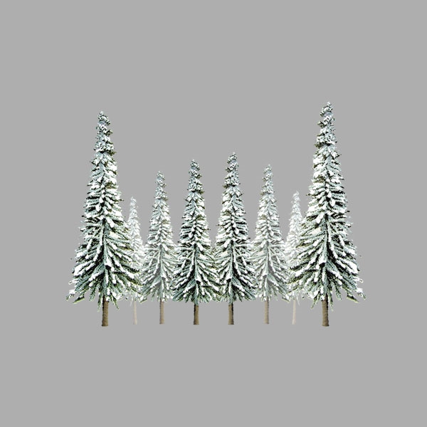 Scenic Snow Spruce 4" to 6" 24-pack