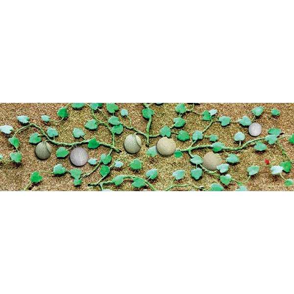 Cantaloupe Patch 1.75" long 6-pack