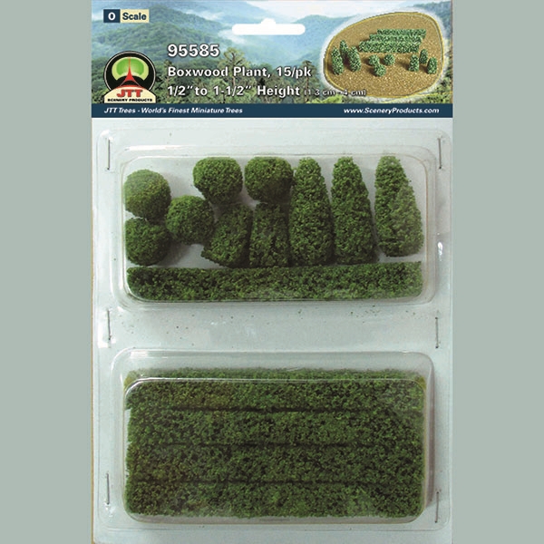 Boxwood Plants 1/2" to 1 1/2" tall 15-pack