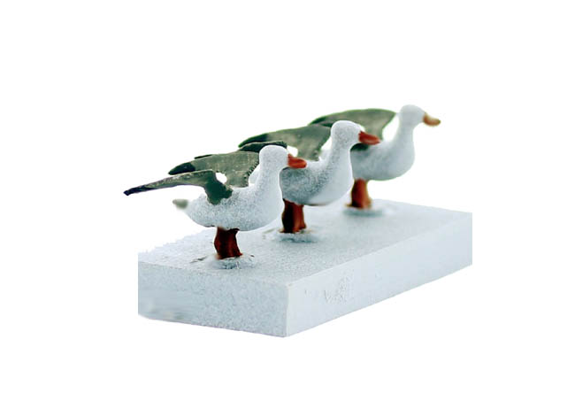 Seagulls Taking Off & Sitting variety pack finished