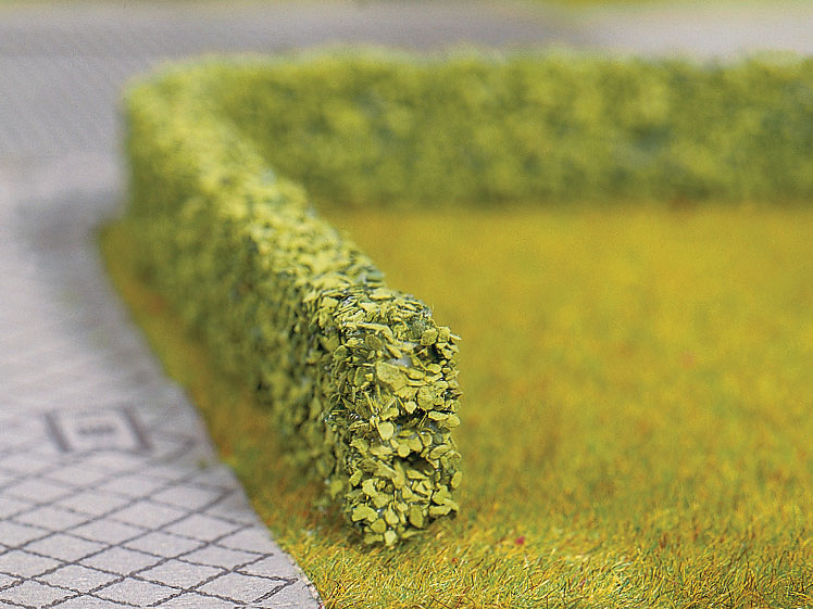 Short Hedges-Light Green