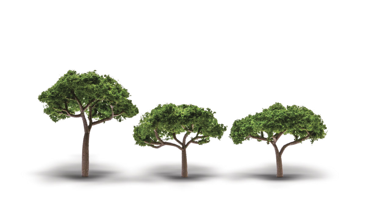 Canopy Trees 2" - 3.5" 3-pack