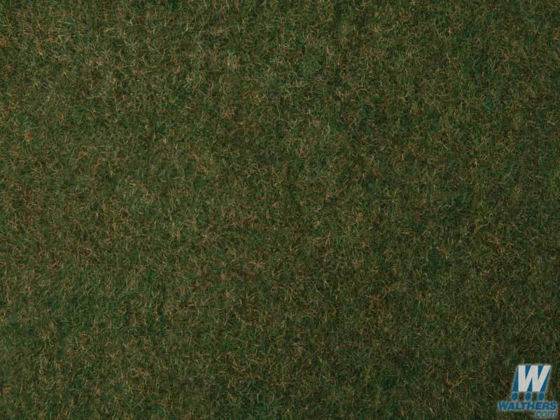 Tear & Plant Tall Grass - Dark Green