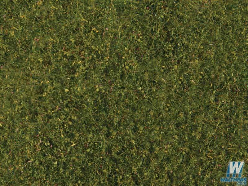 Tear & Plant Meadow Grass - Light Green