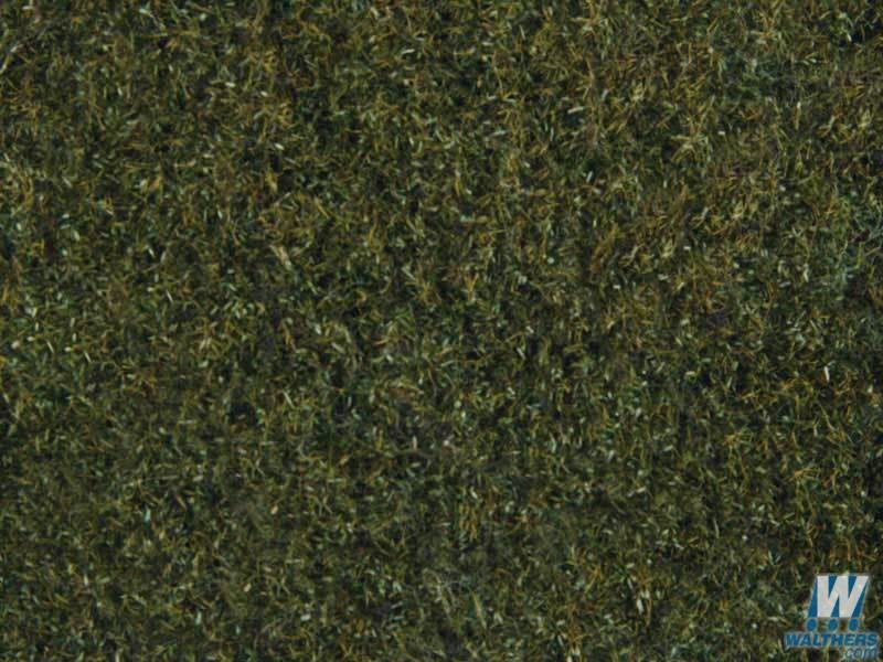Tear & Plant Meadow Grass - Dark Green