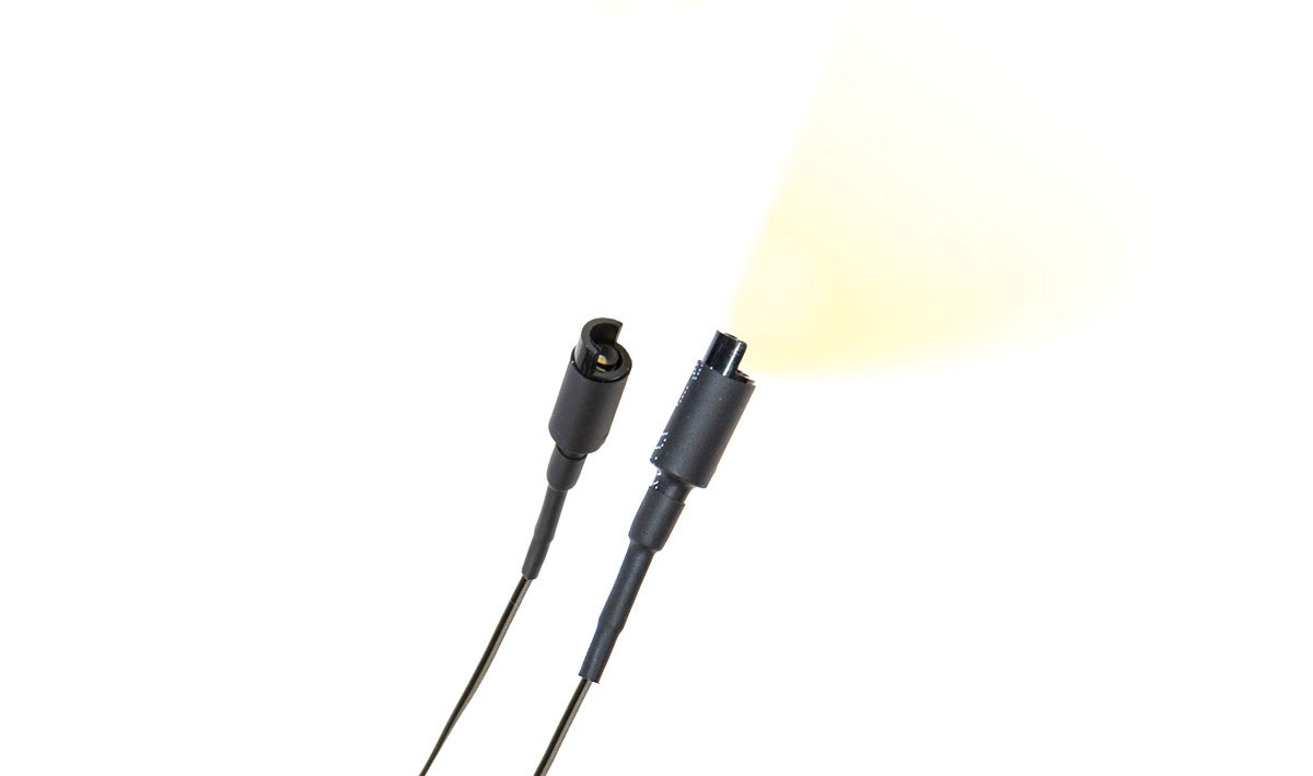 Just Plug Landscape Lights Floodlight 2-Pack