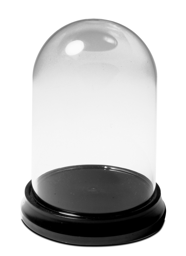 Glass Display Dome and Base