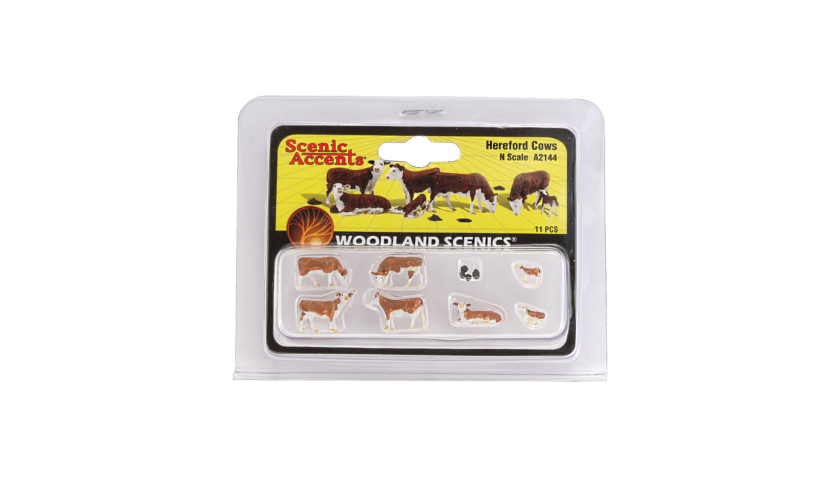 Hereford Cows