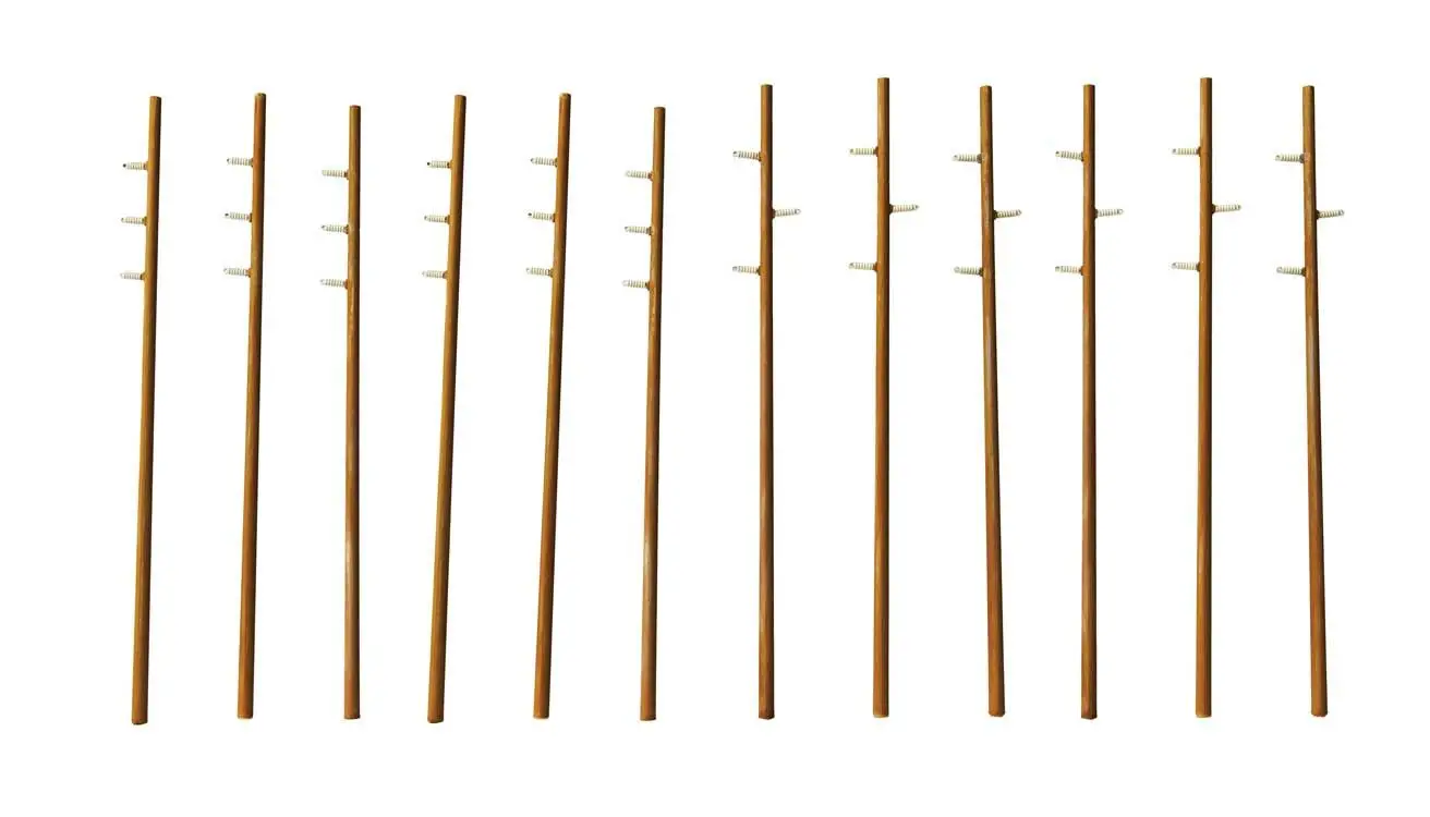 Intermediate Height Utility Poles