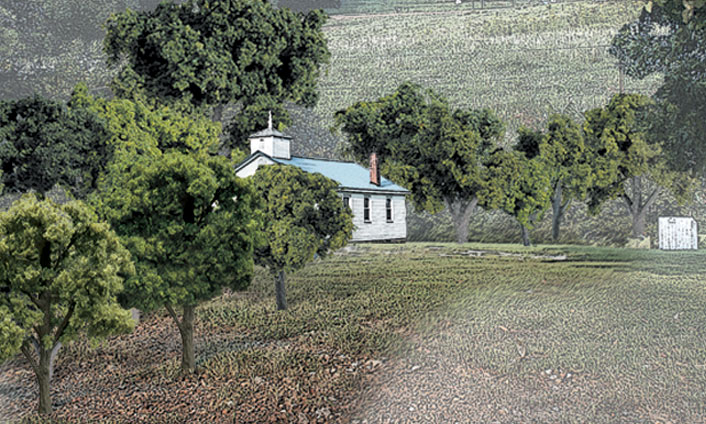 23 Deciduous Trees Mixed Green Colors
