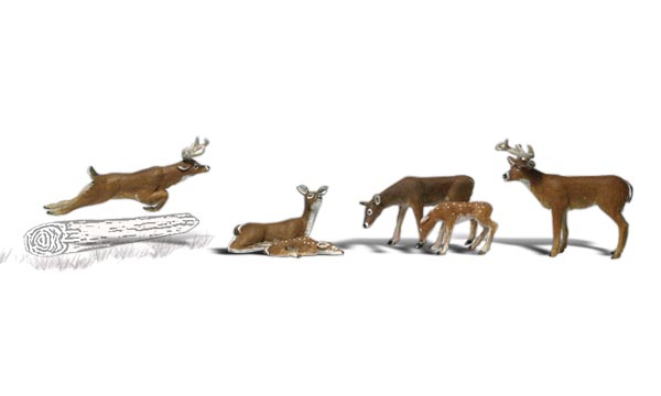 Deer