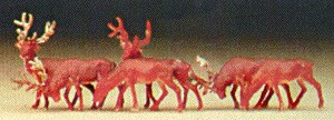 Deer
