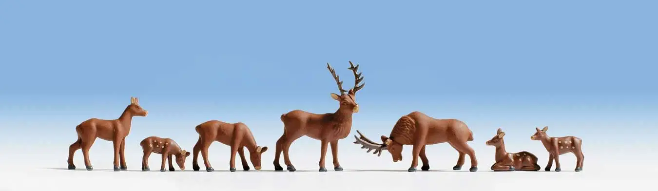 Wild Deer