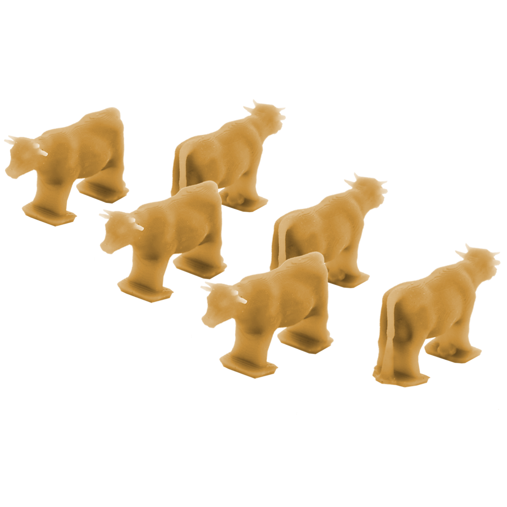 Calf Load 6-Pack