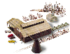 Mountain Lumber Company