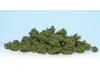 Clump Foliage Light Green