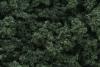 Clump Foliage Dark Green