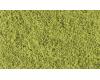 Coarse Turf Light Green