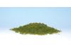 Coarse Turf Light Green