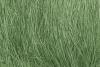 Field Grass Medium Green