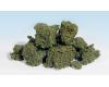 Foliage Clusters Light Green