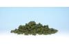 Bushes Olive Green
