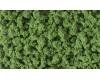 Bushes Medium Green