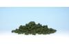 Bushes Medium Green