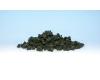 Bushes Forest Blend