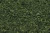Foliage Medium Green