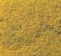 Flowering Foliage Yellow