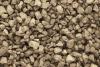 Talus Medium Brown Rock Debris