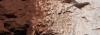 Earth Colors Liquid Pigment Burnt Umber